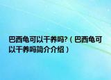 巴西龟可以干养吗?（巴西龟可以干养吗简介介绍）