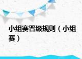 小组赛晋级规则（小组赛）