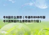 牛B是什么意思（牛逼牛BNB牛掰牛X流弊是什么意思简介介绍）