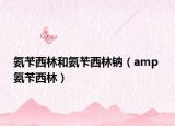氨苄西林和氨苄西林钠（amp 氨苄西林）