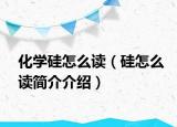 化学硅怎么读（硅怎么读简介介绍）