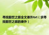 寻找前世之旅全文番外txt（求寻找前世之旅的番外）