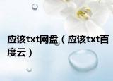 应该txt网盘（应该txt百度云）