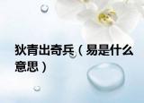 狄青出奇兵（易是什么意思）