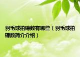 羽毛球拍磅数有哪些（羽毛球拍磅数简介介绍）