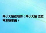 两小无猜谁唱的（两小无猜 孟庭苇演唱歌曲）