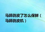 马蹄剥皮了怎么保鲜（马蹄剥皮机）