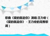 歌曲《爱的就是你》演唱:王力宏（《爱的就是你》－王力宏的完整歌词）