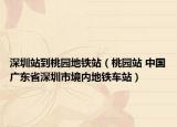 深圳站到桃园地铁站（桃园站 中国广东省深圳市境内地铁车站）
