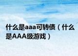 什么是aaa可转债（什么是AAA级游戏）