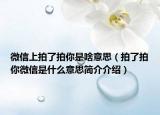 微信上拍了拍你是啥意思（拍了拍你微信是什么意思简介介绍）