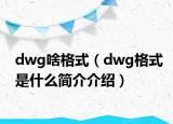 dwg啥格式（dwg格式是什么简介介绍）