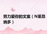 努力爱你的文案（N莱昂纳多）