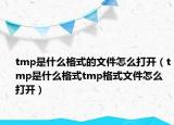 tmp是什么格式的文件怎么打开（tmp是什么格式tmp格式文件怎么打开）
