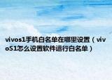 vivos1手机白名单在哪里设置（vivoS1怎么设置软件运行白名单）