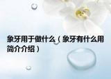 象牙用于做什么（象牙有什么用简介介绍）