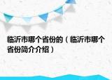 临沂市哪个省份的（临沂市哪个省份简介介绍）