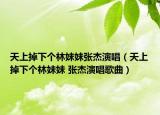天上掉下个林妹妹张杰演唱（天上掉下个林妹妹 张杰演唱歌曲）