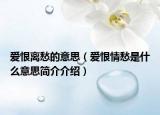 爱恨离愁的意思（爱恨情愁是什么意思简介介绍）