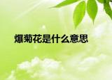 爆菊花是什么意思