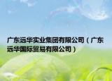 广东远华实业集团有限公司（广东远华国际贸易有限公司）