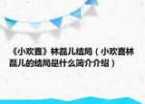 《小欢喜》林磊儿结局（小欢喜林磊儿的结局是什么简介介绍）