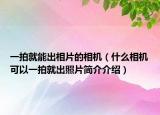 一拍就能出相片的相机（什么相机可以一拍就出照片简介介绍）