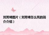 刘芳绮图片（刘芳绮怎么死的简介介绍）