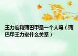王力宏和蒲巴甲是一个人吗（蒲巴甲王力宏什么关系）