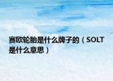 赛欧轮胎是什么牌子的（SOLT是什么意思）