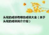头尾的成语有哪些成语大全（关于头尾的成语简介介绍）