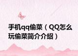 手机qq偷菜（QQ怎么玩偷菜简介介绍）