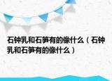 石钟乳和石笋有的像什么（石钟乳和石笋有的像什么）
