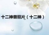 十二神兽照片（十二神）