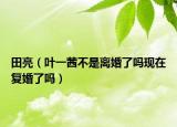 田亮（叶一茜不是离婚了吗现在复婚了吗）