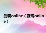 武魂online（武魂online）