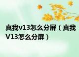 真我v13怎么分屏（真我V13怎么分屏）
