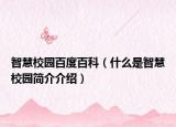 智慧校园百度百科（什么是智慧校园简介介绍）