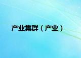 产业集群（产业）