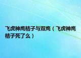 飞虎神鹰桔子与双鹰（飞虎神鹰桔子死了么）