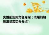 离婚前规则角色介绍（离婚前规则演员表简介介绍）
