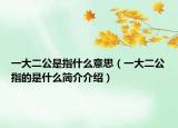 一大二公是指什么意思（一大二公指的是什么简介介绍）