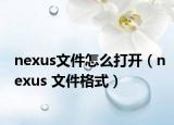 nexus文件怎么打开（nexus 文件格式）
