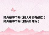 陆贞是哪个朝代的人老公有是谁（陆贞是哪个朝代的简介介绍）