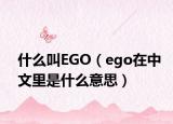 什么叫EGO（ego在中文里是什么意思）