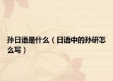 孙日语是什么（日语中的孙研怎么写）