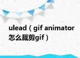 ulead（gif animator怎么裁剪gif）