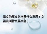 凯文的英文名字是什么意思（文凯该叫什么英文名）