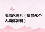 廖昌永图片（廖昌永个人具体资料）