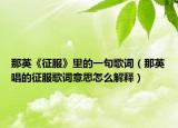 那英《征服》里的一句歌词（那英唱的征服歌词意思怎么解释）